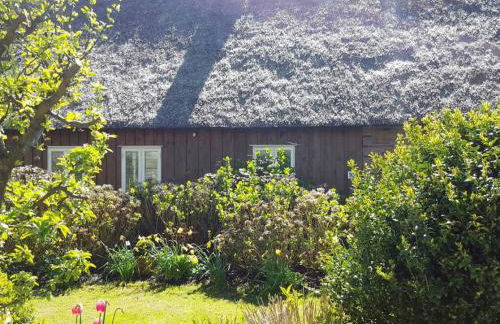 Marie Carla - Foto 2