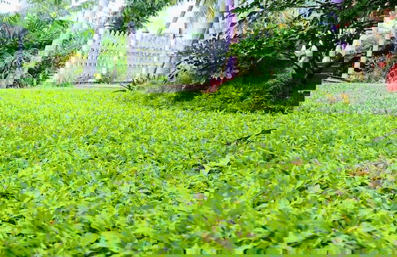 Volga Guest House - Photo 25