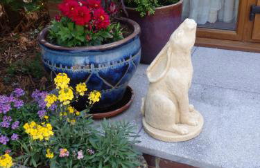 Rosehip Cottage - Foto 21