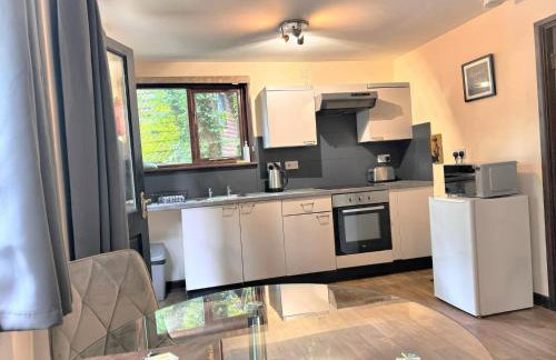 Wren 21-Hot Tub-Woodland Lodges-Tenby-Camarthenshire - Foto 9
