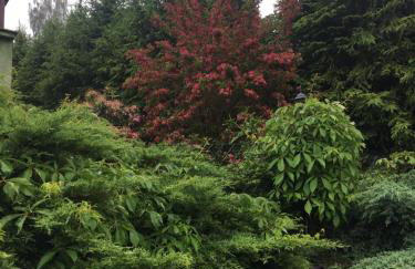 Słoneczny domek - Foto 14