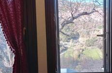 ΟΡΕΙΝΟ ΟΝΕΙΡΟ - Foto 50