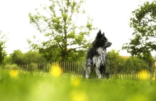 Haus Grün - Foto 13