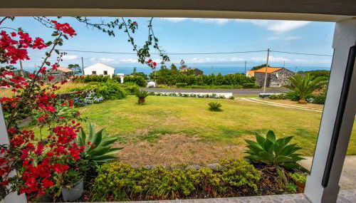 Casa Amaral - Photo 3, Garden