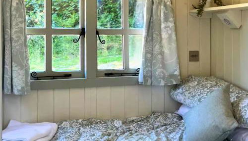 Bryn Gwyn - Ukc7801 - Foto 5