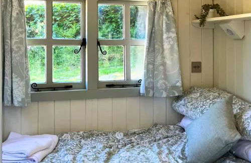 Bryn Gwyn - Ukc7801 - Foto 5