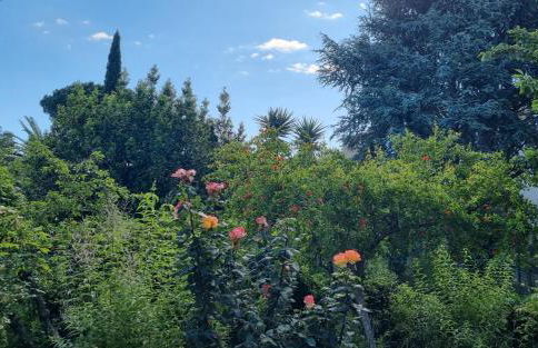 Villa El Còrrec - Photo 11