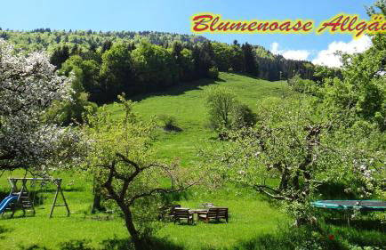 Blumenoase Allgäu - Foto 25