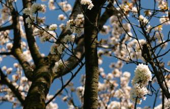 Cascina Pajanòt - Foto 28