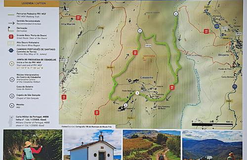 Sobreiro's Villa in Douro Valley - Photo 44