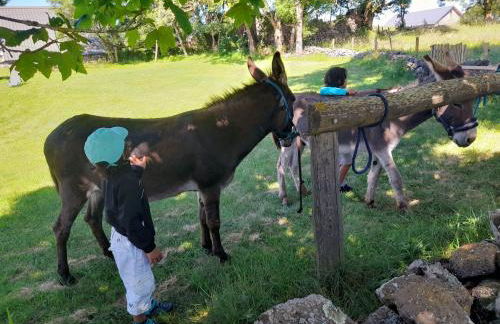 Gîte rénové pour 4 pers. avec accueil équin, Saint-Front - FR-1-582-538 - Foto 24
