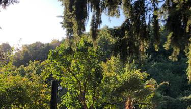 Privates Ferienhaus mit Pool & Whirlpool in Bad Dürkheim - Foto 5, Garden