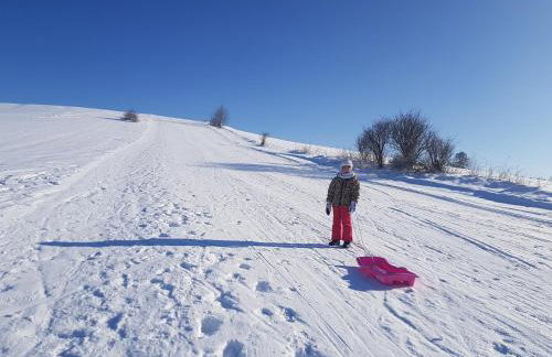 Antonówka - Foto 46