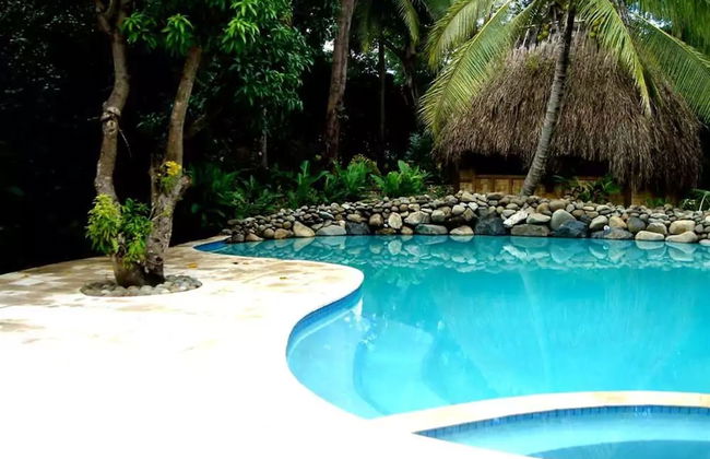 The Fiji Orchid - Foto 9