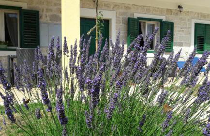 Šimun&Jakov - Foto 66