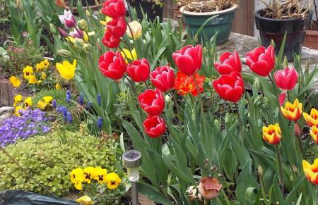 Stadtmitte-Iserlohn - Foto 29