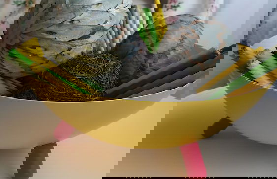 Sudului 810 by MRG Apartments - Foto 9