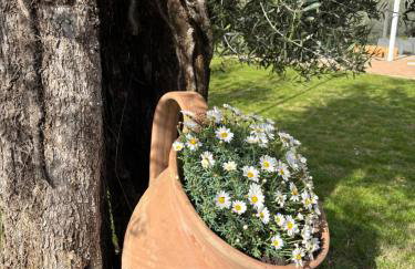 Il Casaletto - Guest House - Foto 71