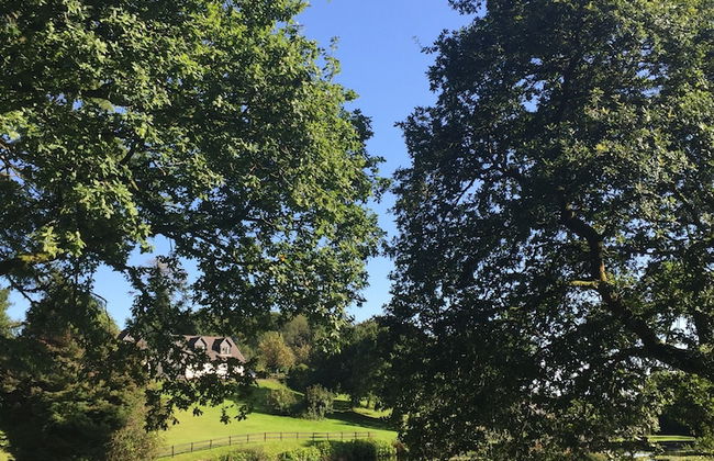 Lake View Villa - Rosecraddoc Manor - Foto 24