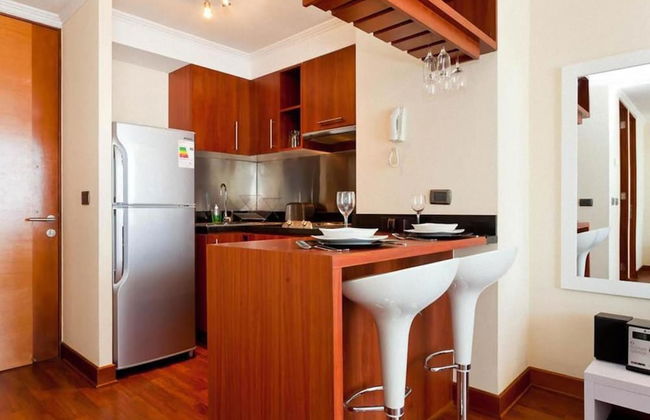 Apartamentos Premium Capital Providencia - Foto 7