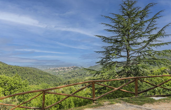 Fiordaliso - Foto 54