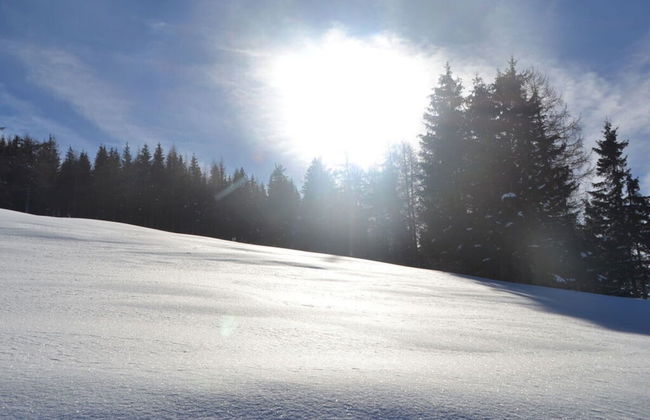 Webertonihutte Modern Retreat - Foto 13