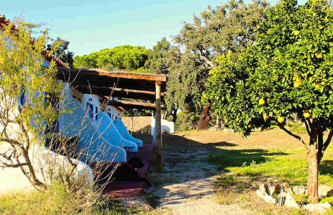 Ponte Pedra - Melides Country House Adults-Only - Foto 39