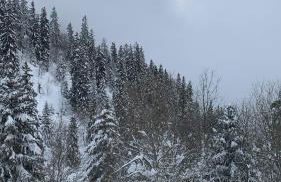 Location appartement Chamrousse 1650 - Superbe vue - Foto 12