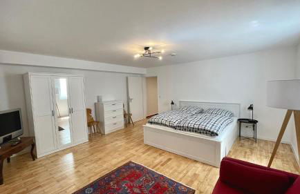 Large holiday apartment with sauna, terrace, garden and open fireplace - Foto 30