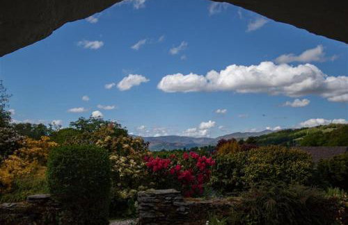 Old Droomer - Photo 28