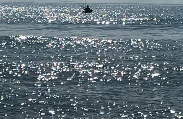 my happy place - Foto 13