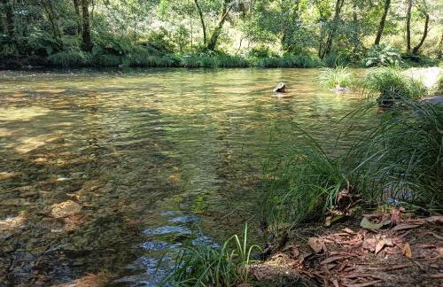 A Parrula, Mar, río y montaña - Foto 32