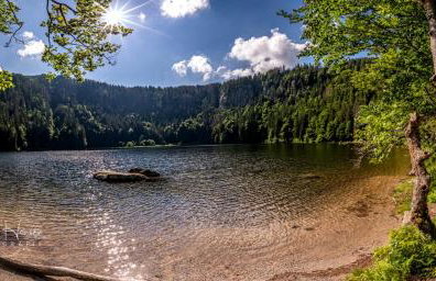 Altes Forsthaus - Fewo "Wiesental", privater "Spa" mit Sauna, Wanne und Relaxliegen, Todtnau - Foto 6