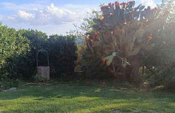 Villa Penta - Foto 13