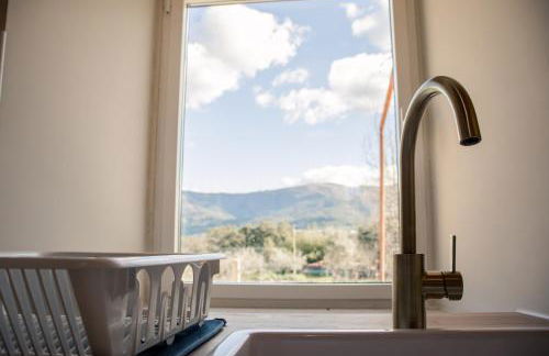 Quinta-lina de serpins - Foto 41