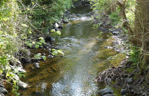 Hafannedd Cottage - riverside views - Photo 24