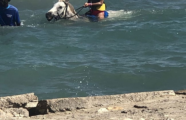 Seacret Studios - Cozy Jamaican Retreat Apts by RedAwning - Photo 9