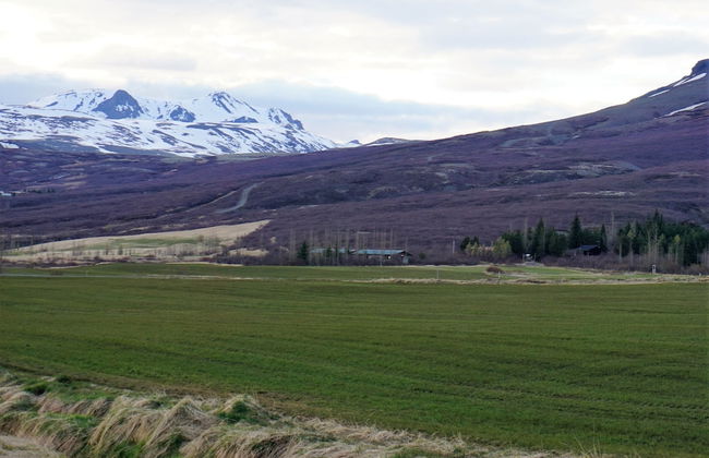 Miðdalskot Cottages - Foto 7