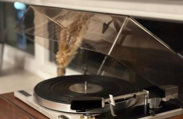 Modernes 2-Zimmer-Apartment in der Altstadt - Photo 22