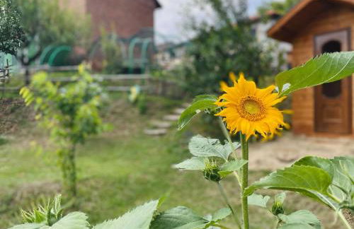 Cascina Il Girasole Rosso - Foto 3