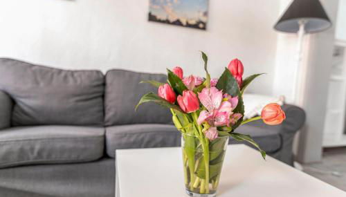 Das weiße Stadthaus - Foto 4