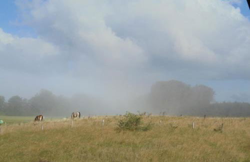 Landhaus Fischersruh Plauer See - Foto 15