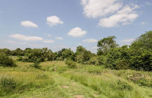 The Shepherds Hut at Bridge Lake Farm & Fishery - Foto 37