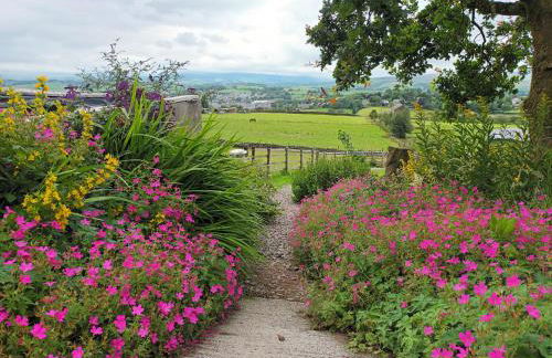 The Journeyman Luxury Shepherds Hut - Foto 23