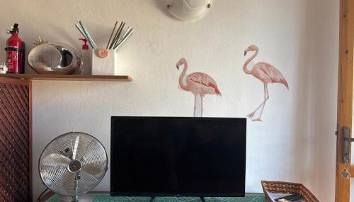 Casa Flamingo House - Photo 4