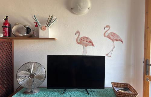 Casa Flamingo House - Photo 4