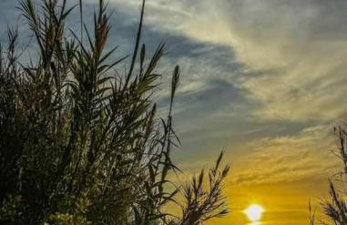 Casa De Lince calle Rio Ebro 48 - Foto 51