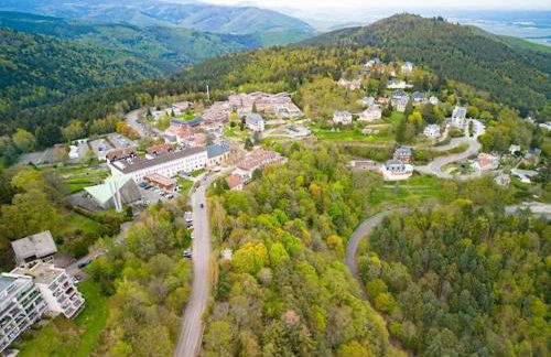 LE PANORAMA studio privé avec vue magnifique TURCKHEIM TROIS ÉPIS - Foto 9