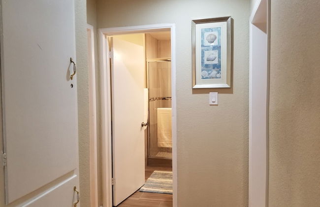 Juniper Berry - Foto 18