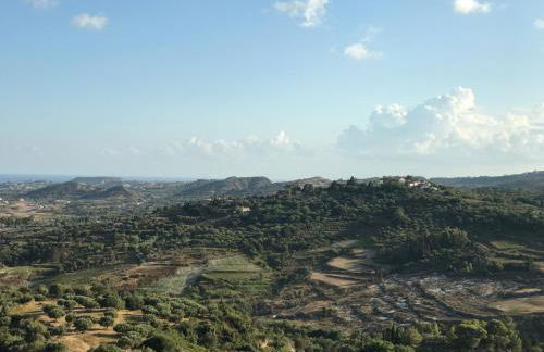 FORESTEVA Studios - Photo 64